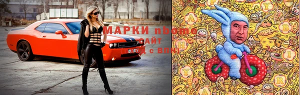 СК Вязьма