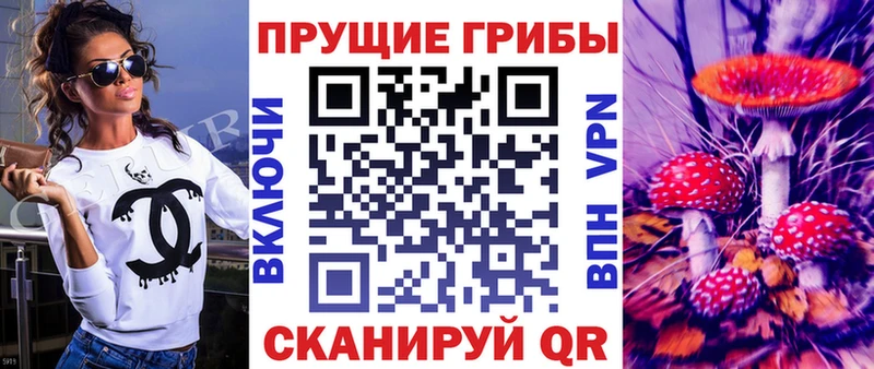Купить закладки  Старая Русса  Псилоцибиновые грибы прущие грибы 